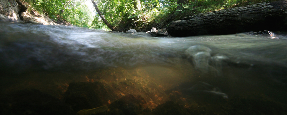 Foto av Forsån undervattensbild