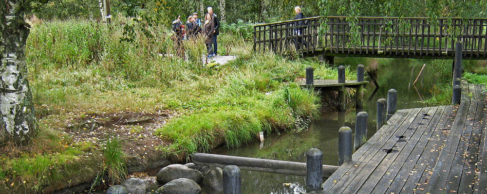 Igelbäcken. Foto: Magnus Sannebro