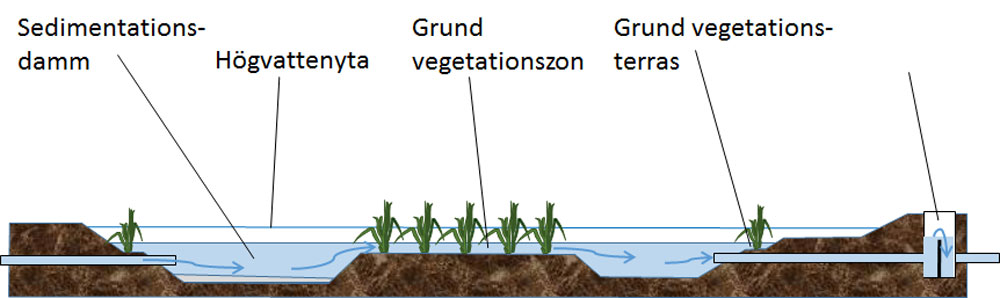 Dammar och våttmarker