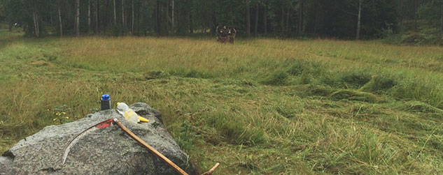 Nackareservatets ängsmarker. Foto: Stockholms stad