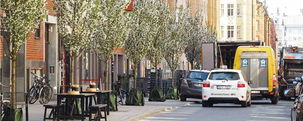 Trädplantering i skelettjord, exempelbild Kocksgatan