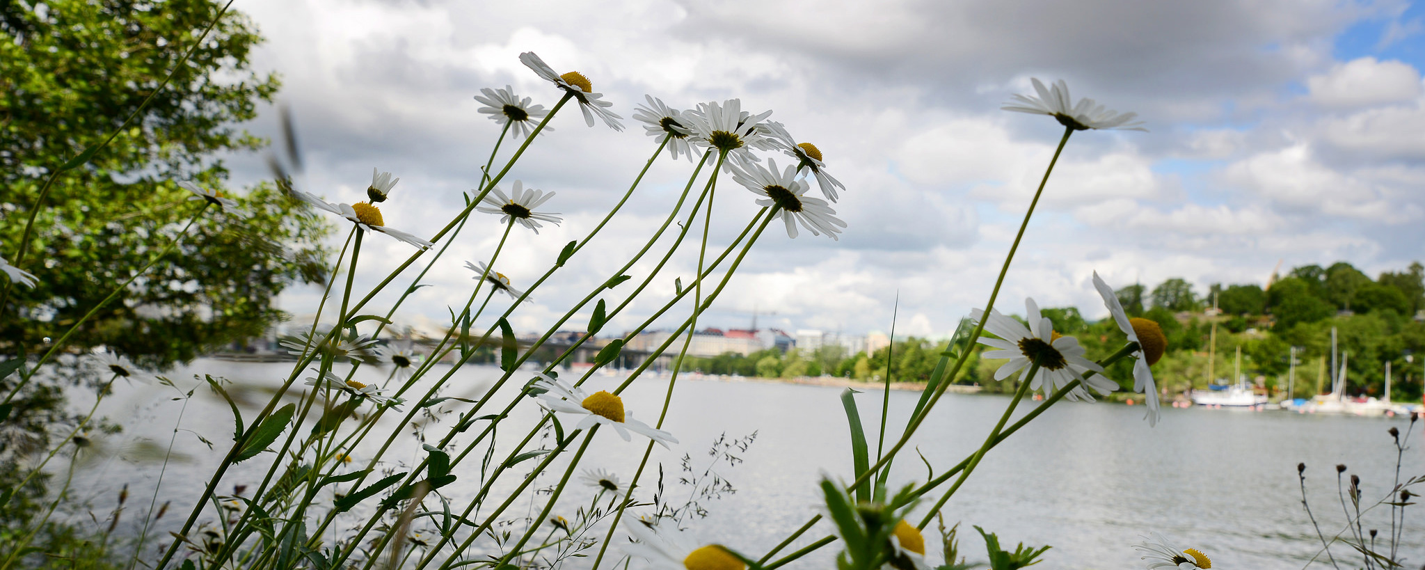 Utsikt från Årsta holmar