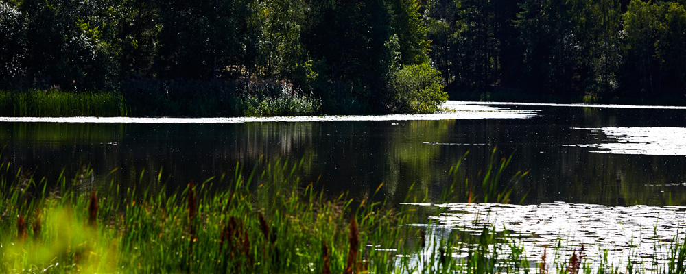 Foto: Michael Wzdulski