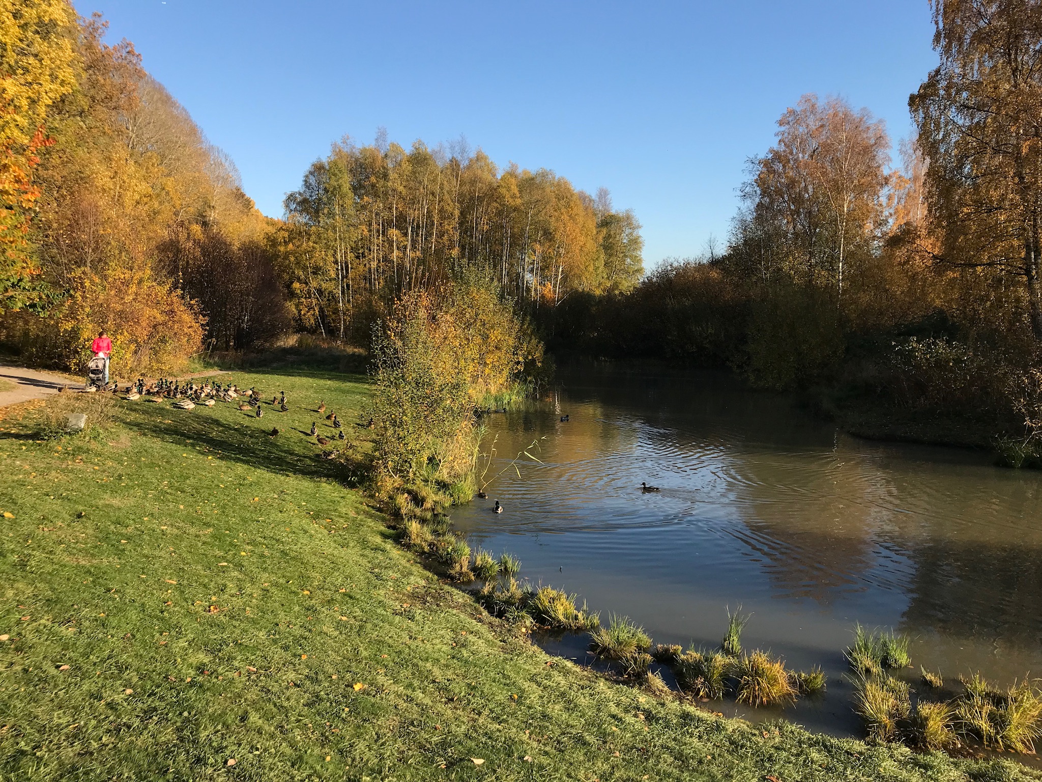 Rågsveds naturreservat. Foto: Magnus Rothman