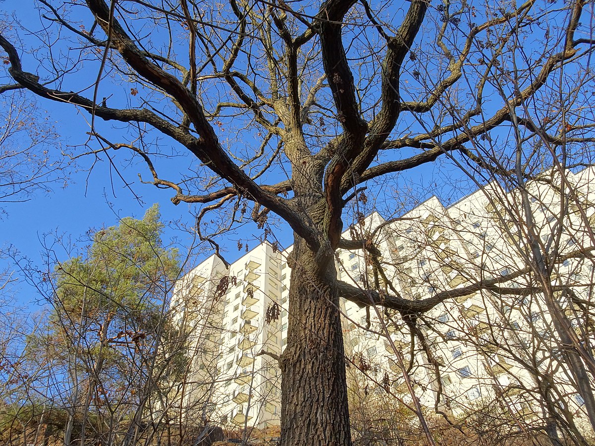 Eget arbete, CC BY-SA 4.0, https://commons.wikimedia.org/w