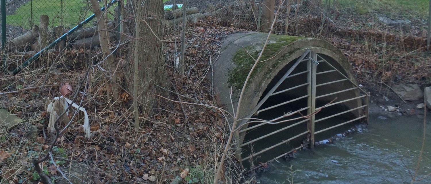 Utlopp, kulvert under Bromstensvägen. Foto: Ekologigruppen