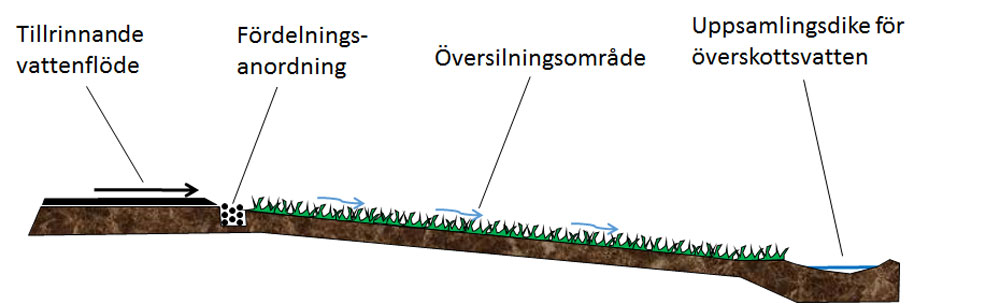 Översilningsyta