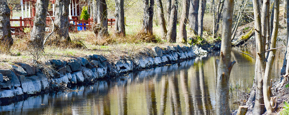 Spår av varierande vattenstånd i Forsån. Foto: Maya Miltell