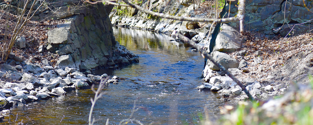 Flöde under Järnvägsbron. Foto: Maya Miltell