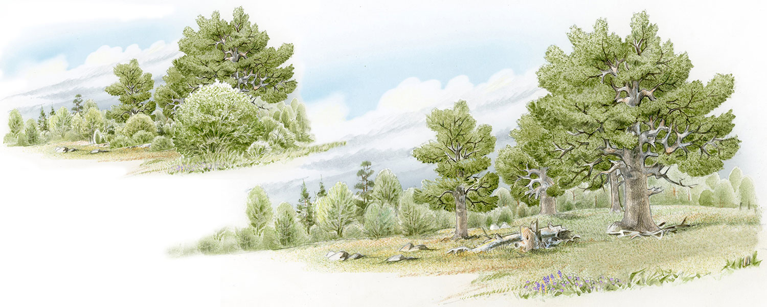 Ekmiljö före och efter friställning