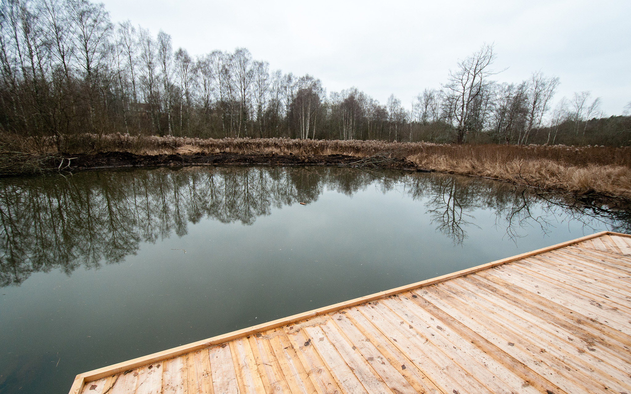 Vattenspegel, Rågsveds Naturreservat