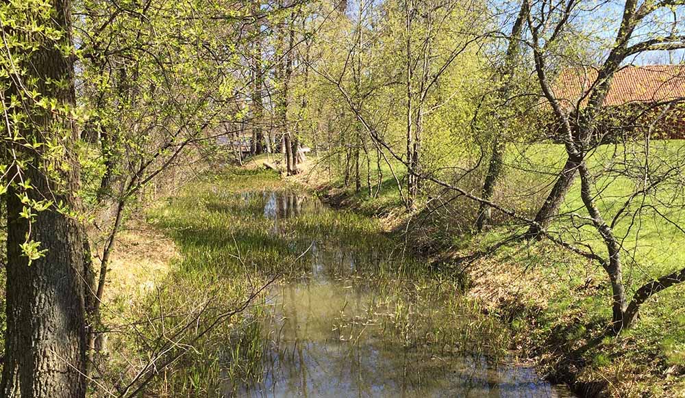 Igelbäcken i Ulriksdals slottspark. Foto: Jenny Pirard
