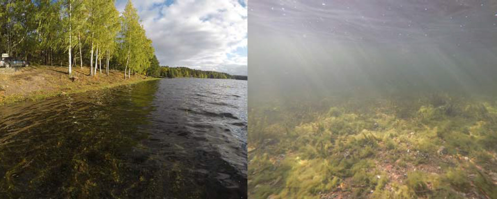 Provplats i sjön Flatan.