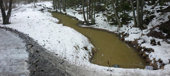 Området Jutskåran direkt intill Drevvikens södra vik. Foto: WRS och Naturvatten (2017).