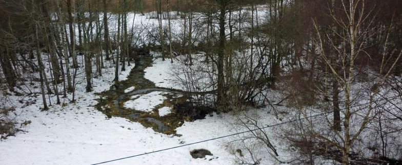 Våtmarksområdet där dagvattenledningen från Länna mynnar. Foto: WRS och Naturvatten (2017).