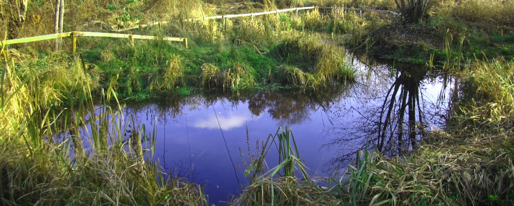 Foto: Magnus Sannebro