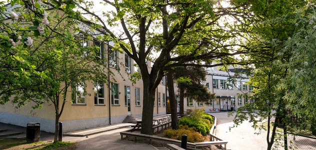 Träd och buskar på Nybrohovsskolan.