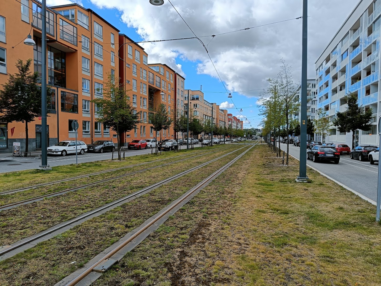 Gräs mellan spåren till tvärbanan