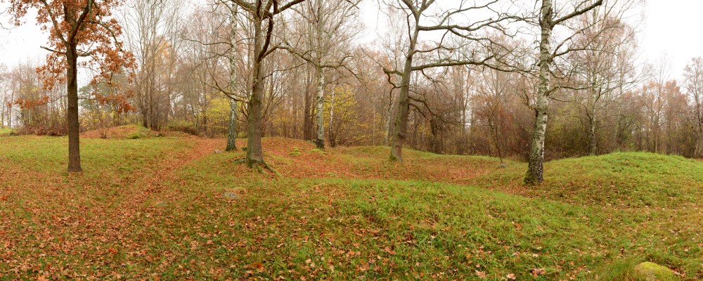 Gravfältet på Björklunds hage som slåttras