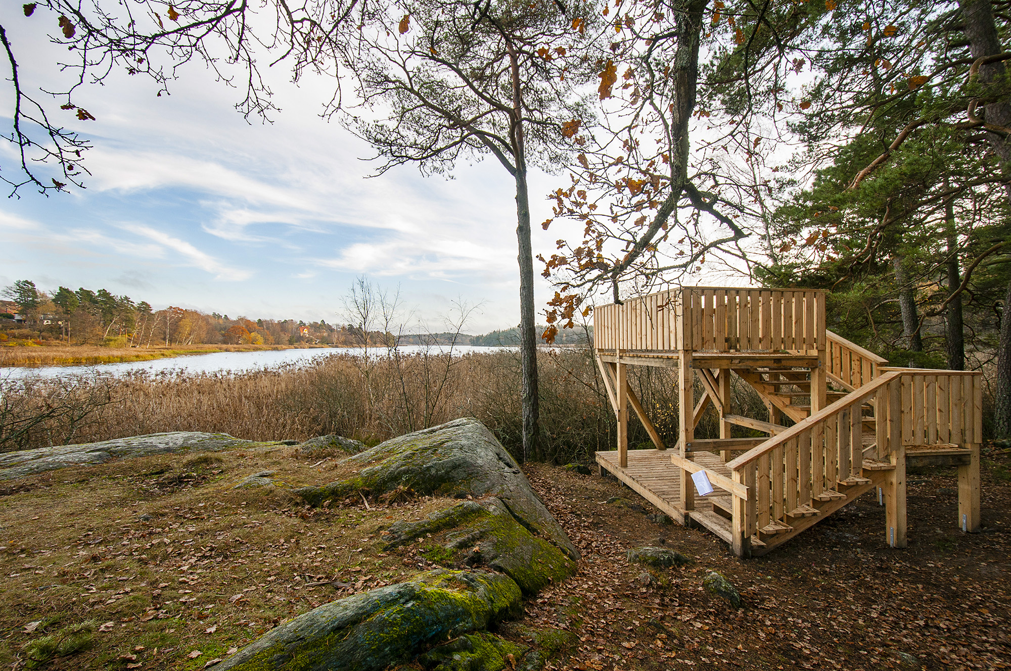 Natur med vattenspegel och ett fågeltorn till höger.