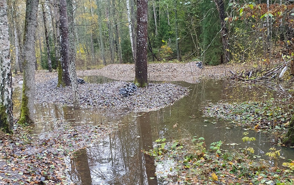 Meandring av Smalängen, Flaten