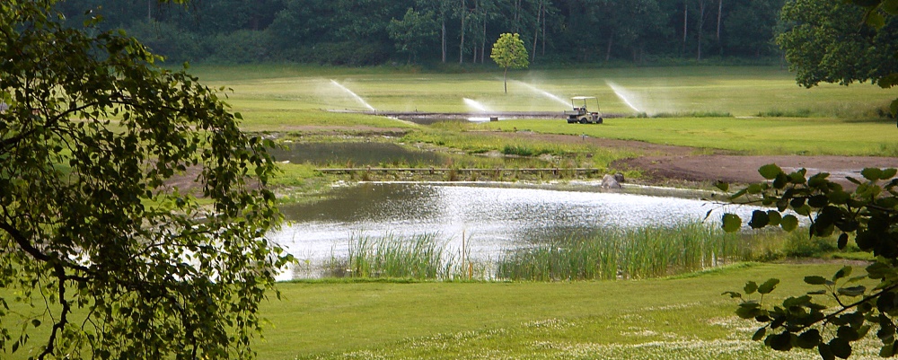 Bild på en öppen damm med flacka kanter inom golfbanan.