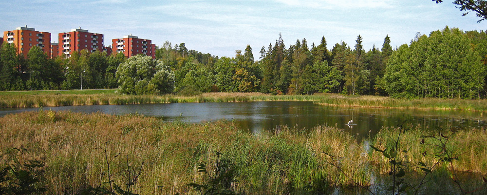 Bild på Lappkärret