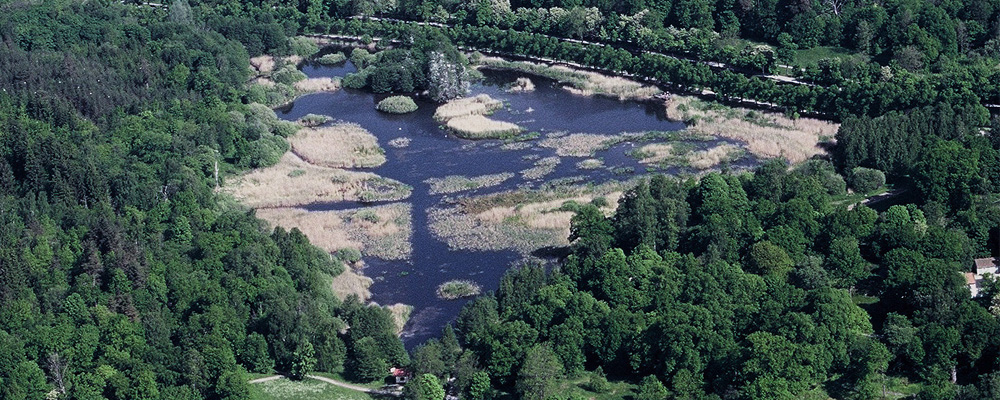 Flygbild på Isbladskärret