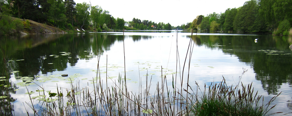 Foto på Långsjön